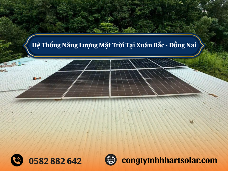 ban-giao-he-thong-dien-mat-troi-5-58kwp-luu-tru-15kwp-tai-trang-bom-dong-nai
