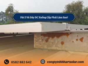pat-z-va-day-DC-xuong-cap-phai-lam-sao