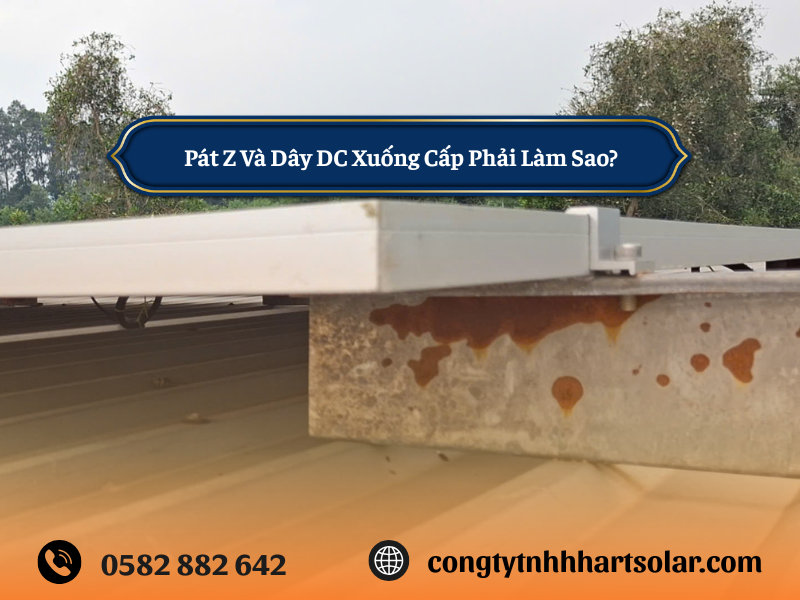 pat-z-va-day-DC-xuong-cap-phai-lam-sao